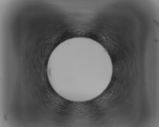 X0000098020769200803280752