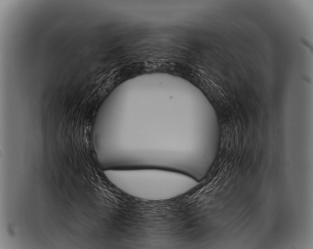 X0000098020770200803280752