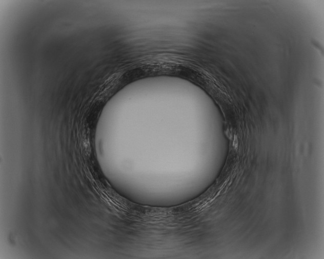X0000098020771200803280752
