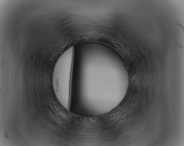 X0000098020772200803280752