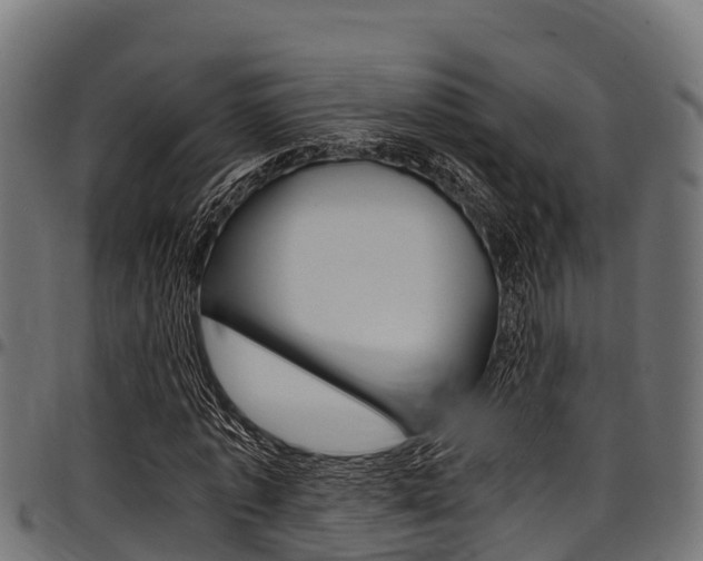 X0000098020773200803280752