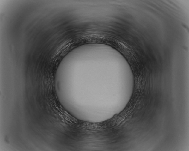 X0000098020774200803280752