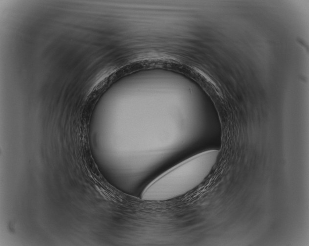 X0000098020775200803280752