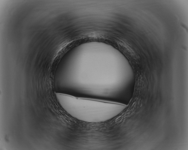 X0000098020776200803280752