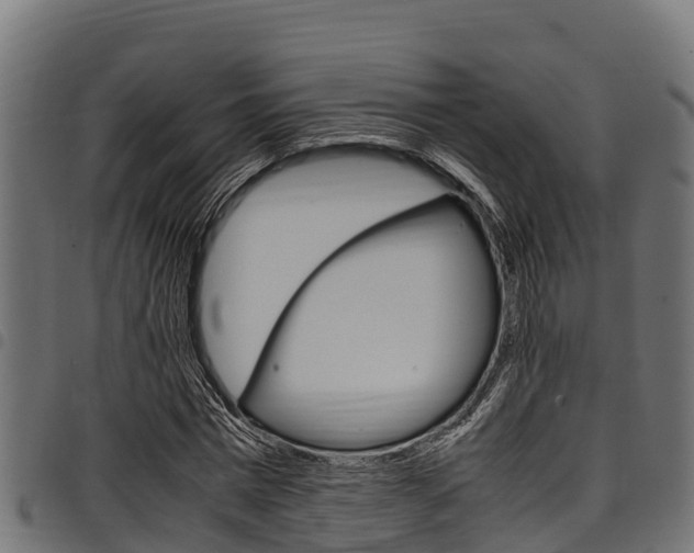 X0000098020777200803280752