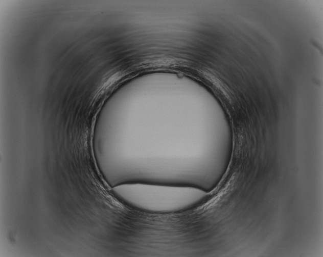 X0000098020778200803280752