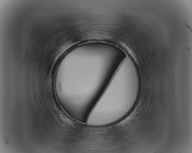 X0000098020779200803280752