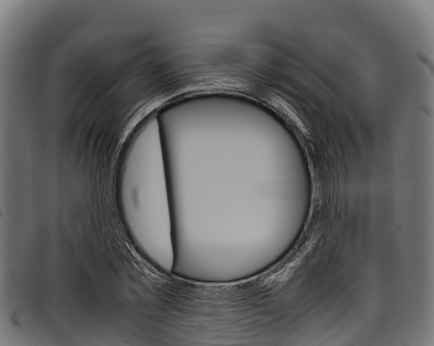 X0000098020781200803280752