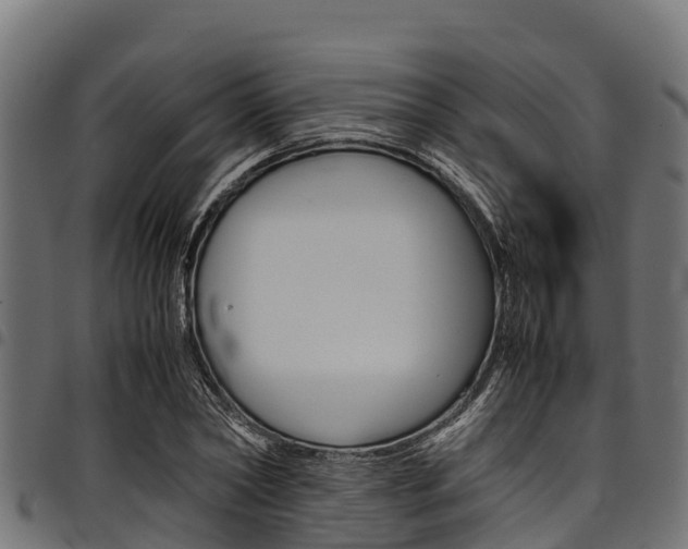 X0000098020782200803280752
