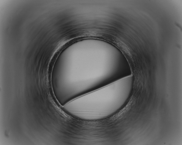 X0000098020784200803280752
