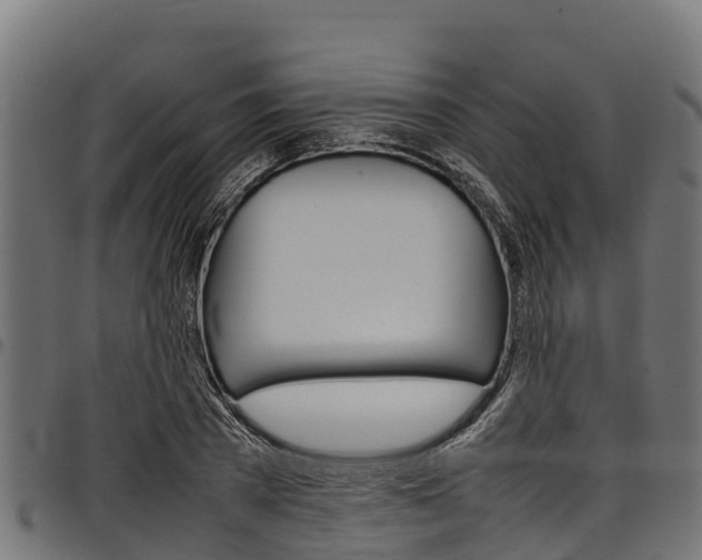 X0000098020785200803280752