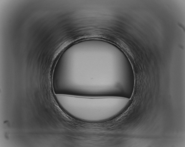 X0000098020789200803280752