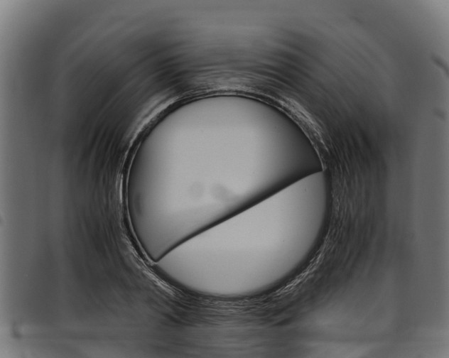 X0000098020790200803280752