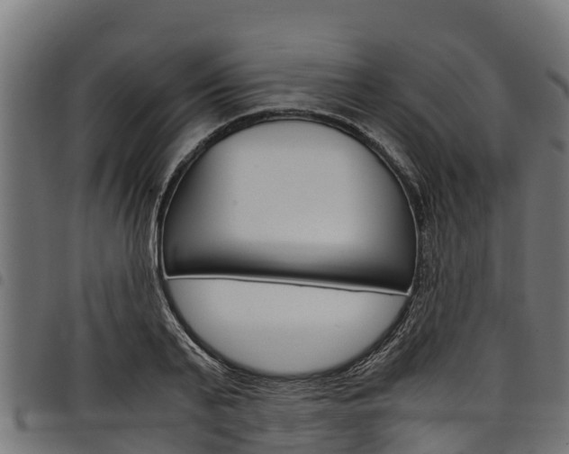 X0000098020791200803280752