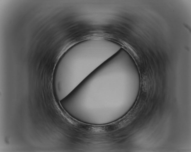 X0000098020794200803280752