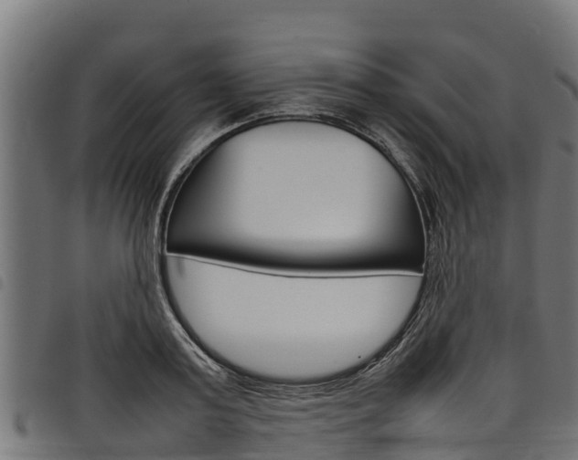 X0000098020795200803280752