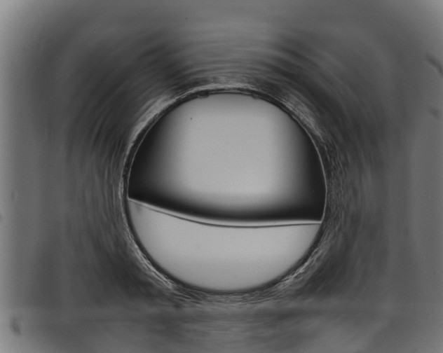 X0000098020797200803280752