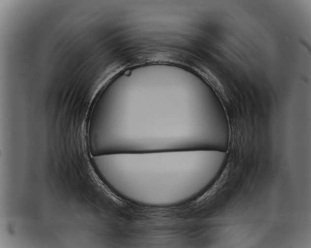 X0000098020798200803280752