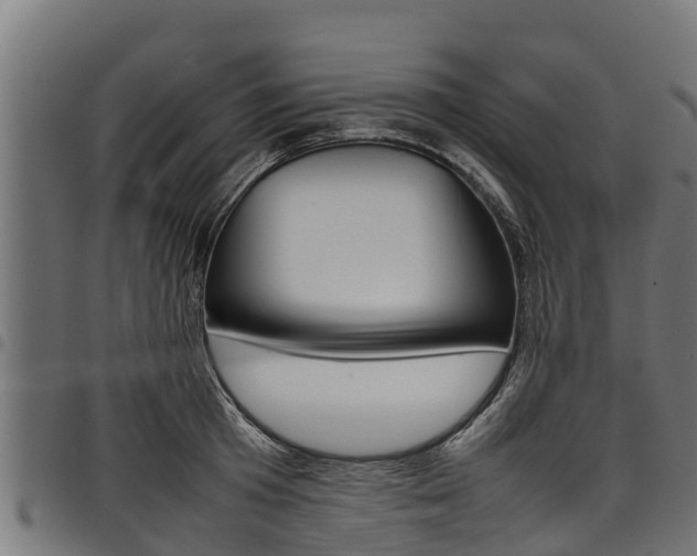 X0000098020801200803280752