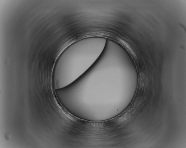 X0000098020802200803280752