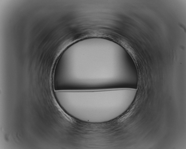 X0000098020803200803280752