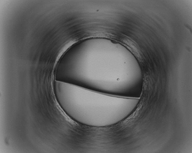 X0000098020804200803280752
