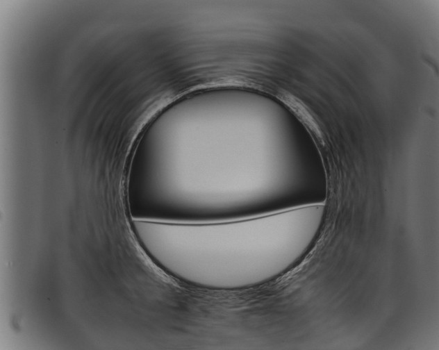 X0000098020805200803280752