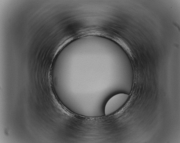 X0000098020806200803280752