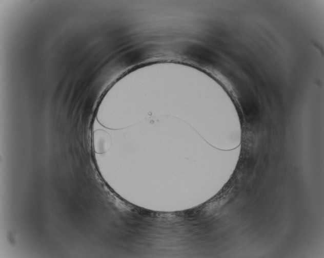 X0000098020807200803280752