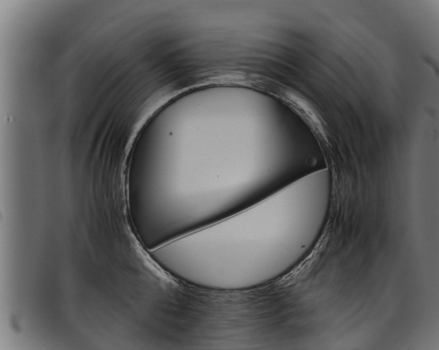X0000098020808200803280752