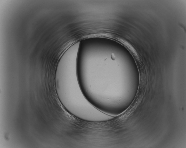 X0000098020809200803280752