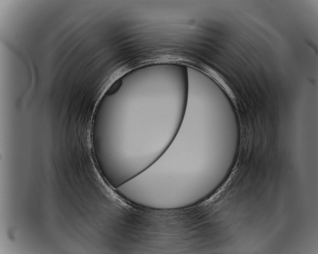 X0000098020810200803280752