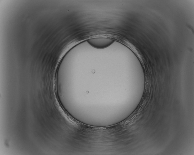 X0000098020811200803280752