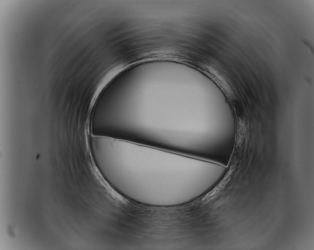 X0000098020812200803280752