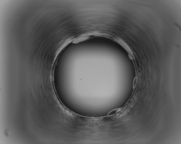 X0000098020813200803280752