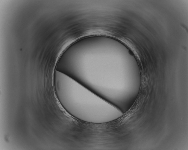X0000098020815200803280752