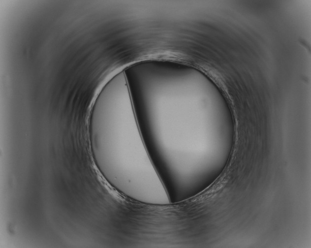 X0000098020816200803280752
