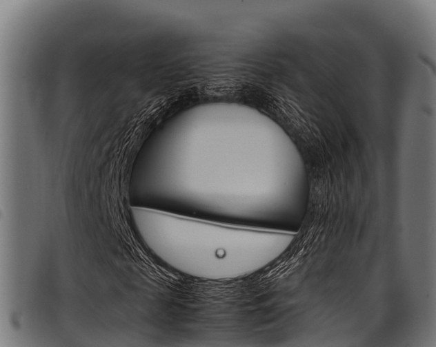 X0000098020817200803280751