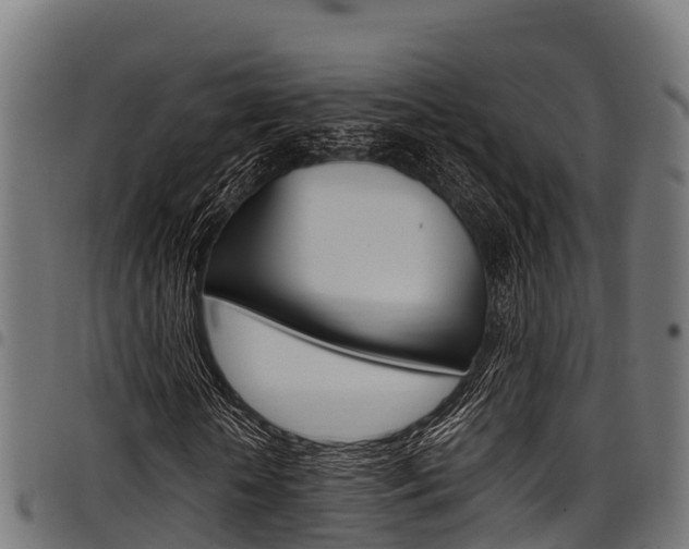 X0000098020818200803280751