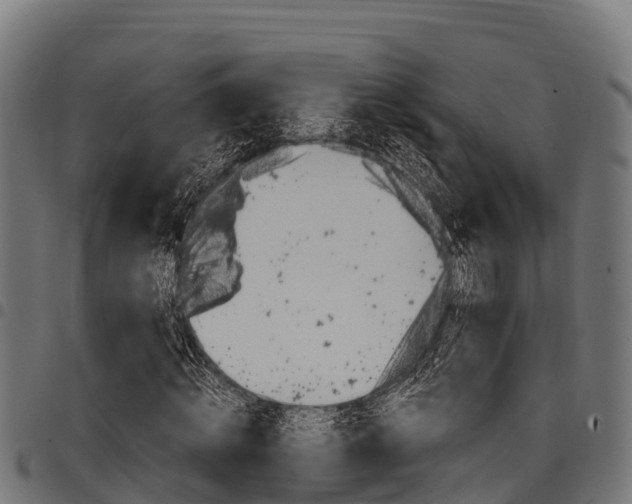 X0000098020820200803280751