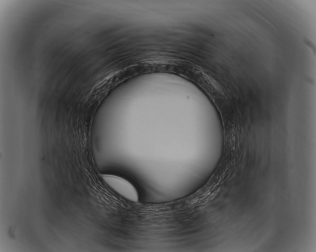 X0000098020821200803280751