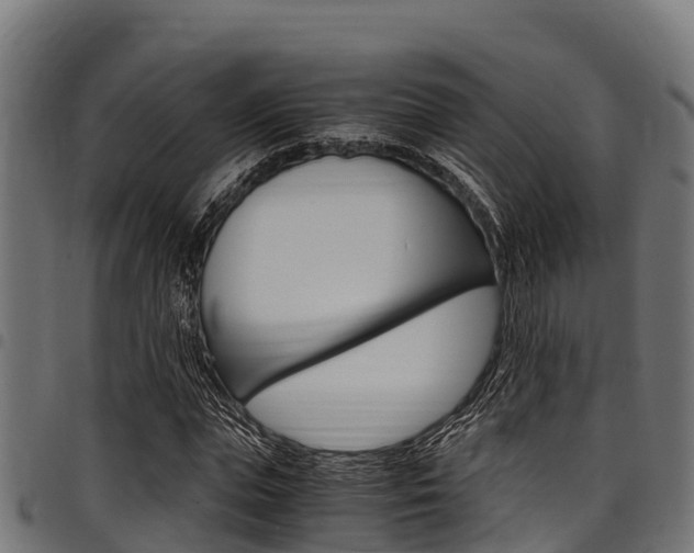 X0000098020823200803280751