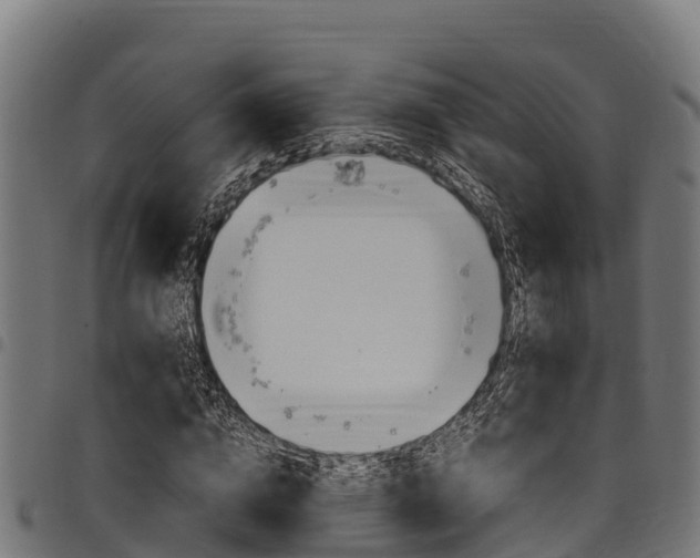 X0000098020824200803280751