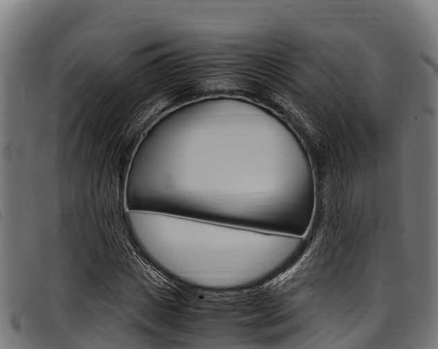 X0000098020825200803280751