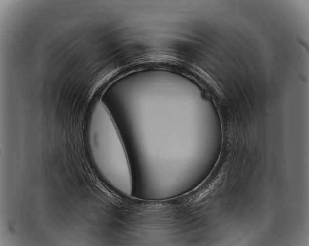 X0000098020826200803280751