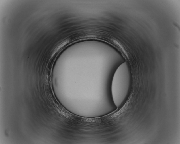 X0000098020827200803280751