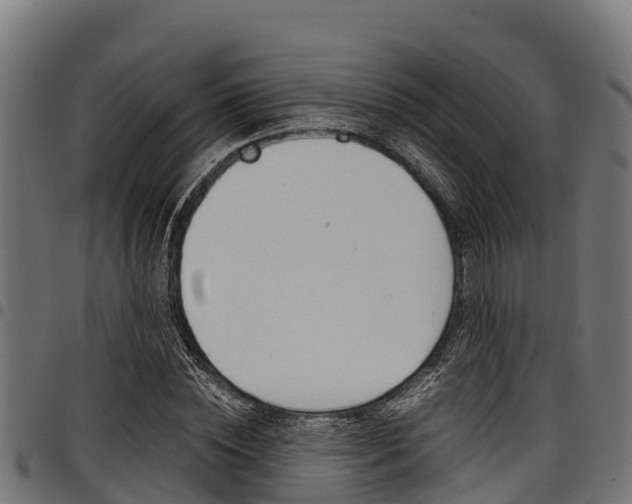 X0000098020828200803280751