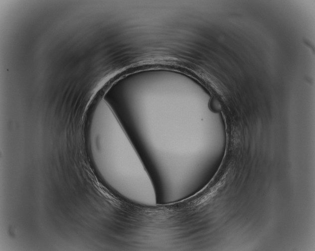 X0000098020830200803280751