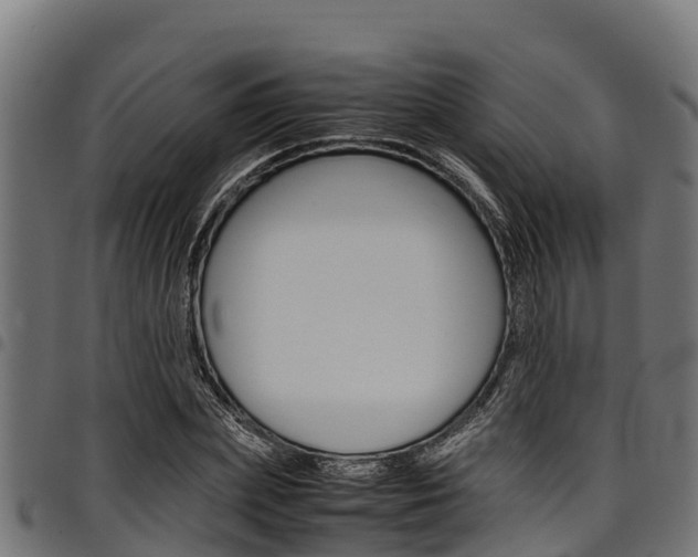 X0000098020831200803280751