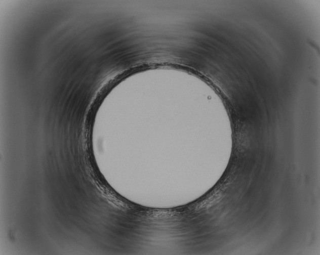 X0000098020832200803280751